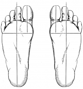 feet wiki